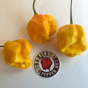Yellow Reaper Cross - Seeds - The Pepper Pantry (Formerly Marie Sharp's)
